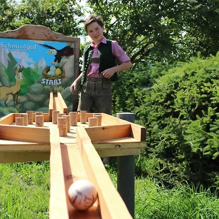 Lägenhetshotell Schmiedgut Haus im Ennstal