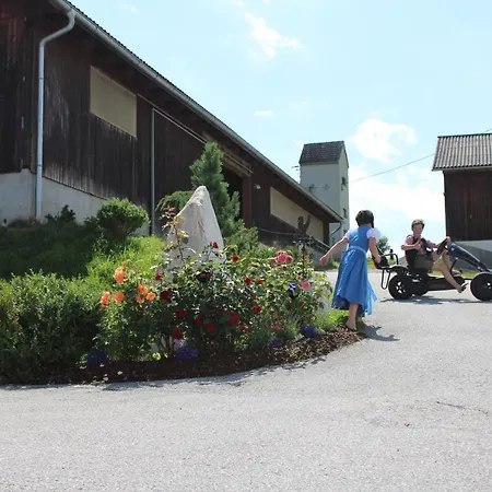 Lägenhetshotell Schmiedgut Haus im Ennstal