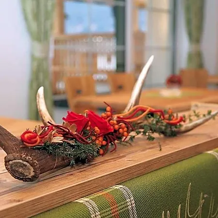 Schmiedgut Aparthotel Haus im Ennstal